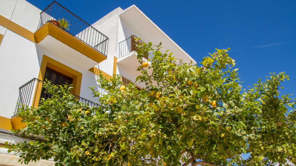 Santa Gertrudis Ibiza: Is It the Best Place to Live Year-Round on the Island?